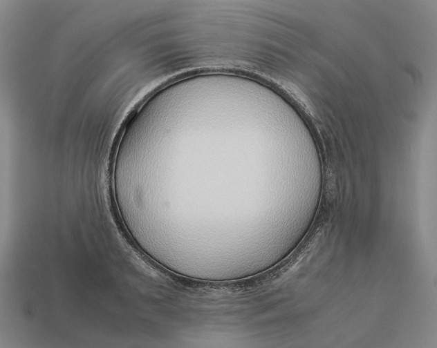 X0000113090895200909251008