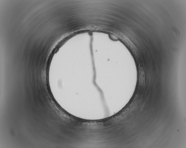 X0000113090896200909251007