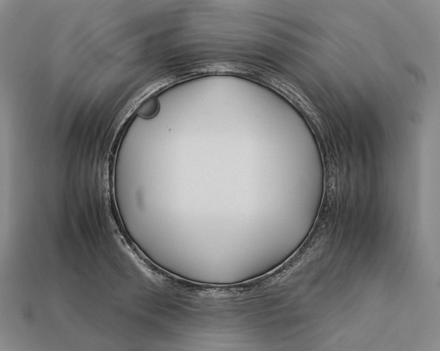 X0000113090898200909251007