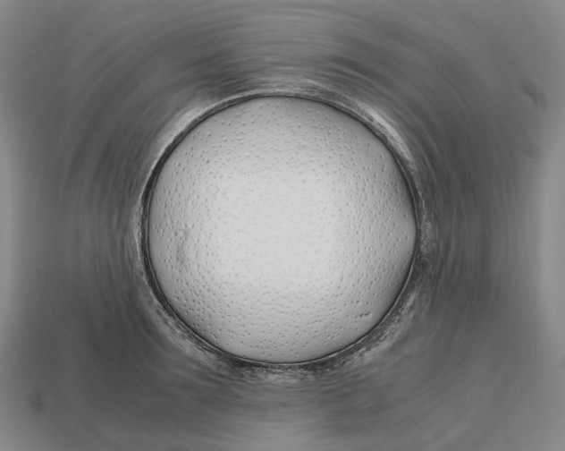 X0000113090899200909251007