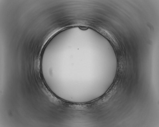 X0000113090900200909251007
