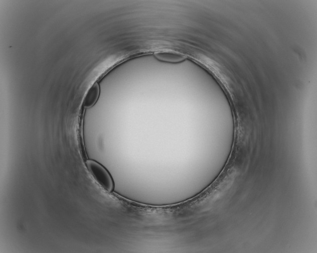X0000113090901200909251007