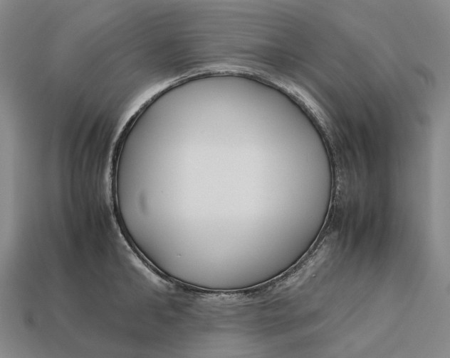 X0000113090902200909251007