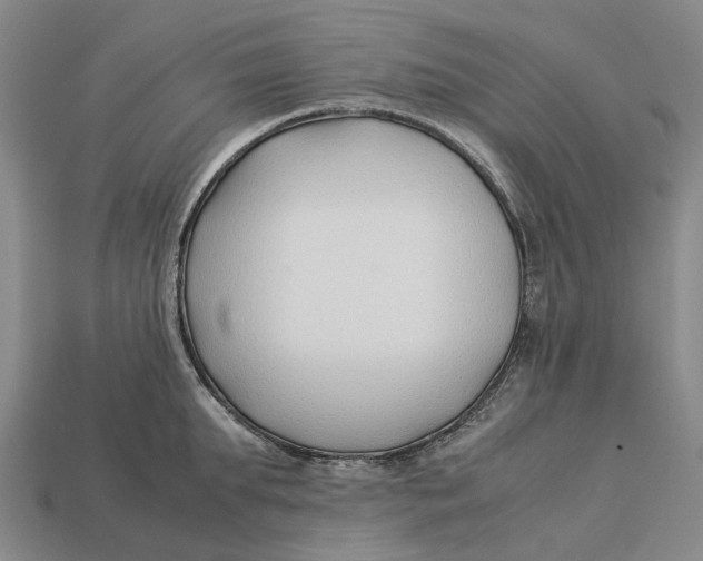 X0000113090903200909251007