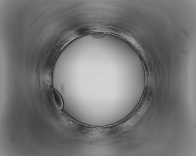 X0000113090905200909251007
