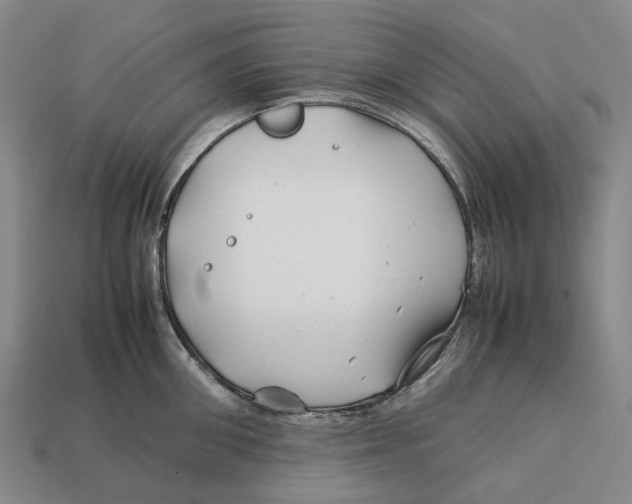 X0000113090906200909251007