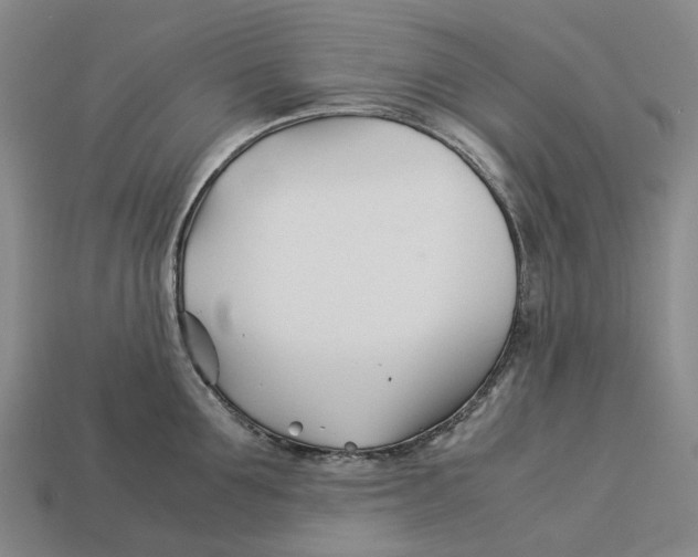 X0000113090907200909251007