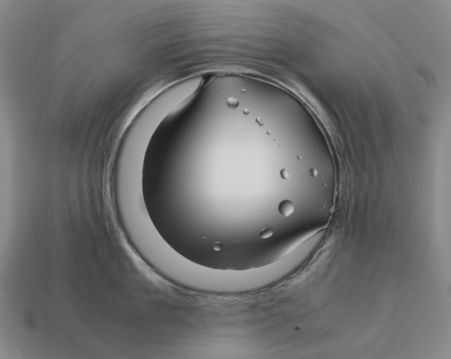 X0000113090909200909251007