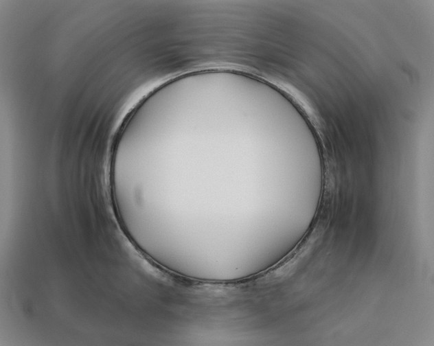 X0000113090910200909251007
