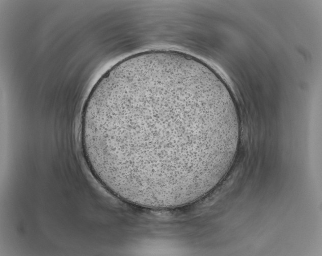 X0000113090911200909251007