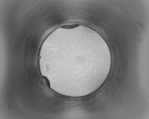 X0000113090912200909251007
