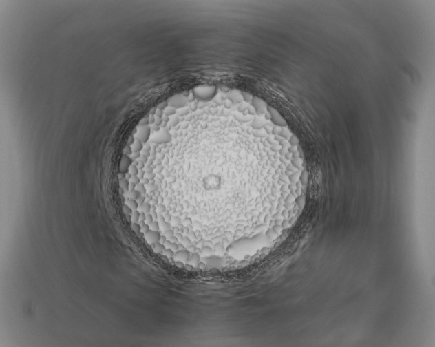 X0000113090913200909251007