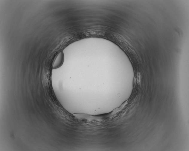X0000113090915200909251007