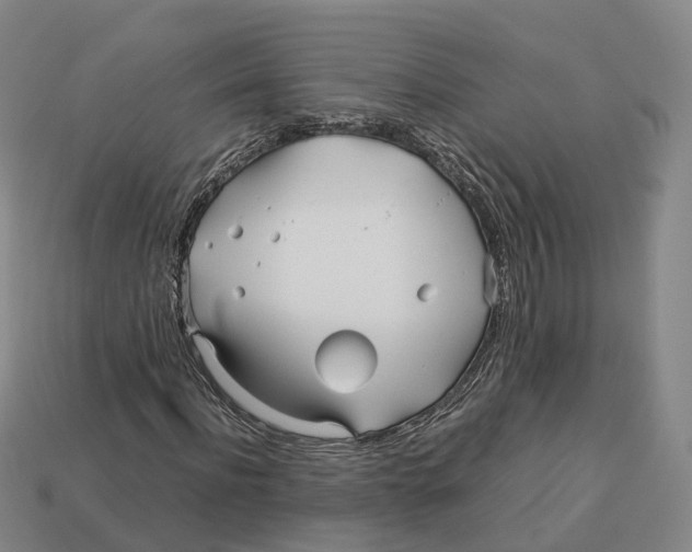 X0000113090916200909251007