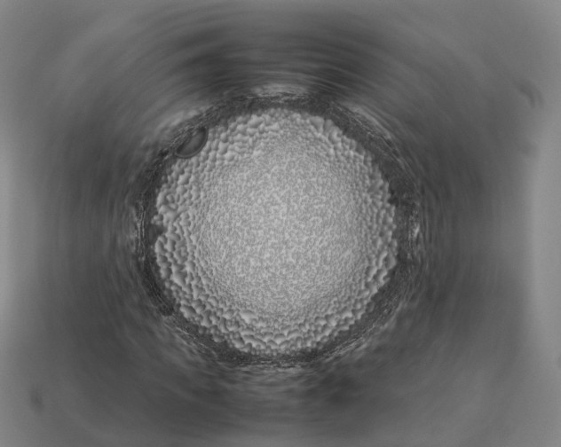 X0000113090917200909251007