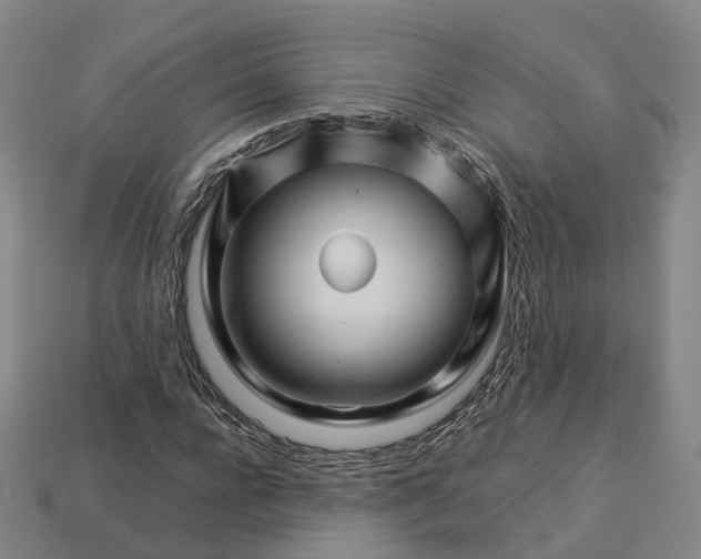 X0000113090920200909251007
