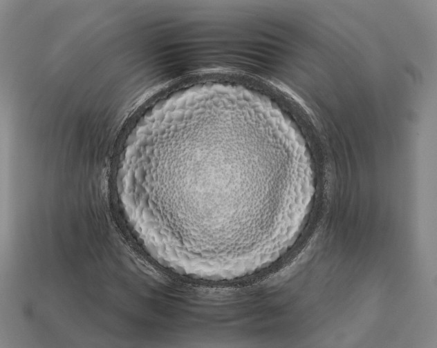 X0000113090921200909251007