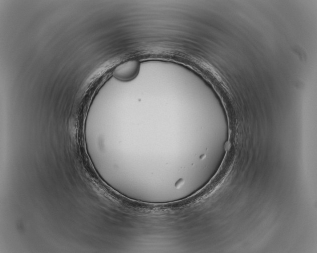 X0000113090922200909251007
