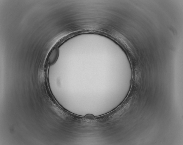 X0000113090924200909251007