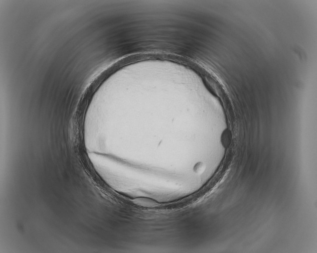 X0000113090925200909251007