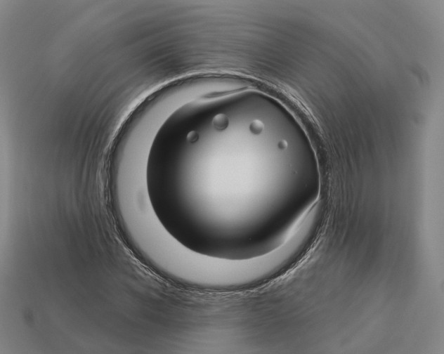 X0000113090926200909251007