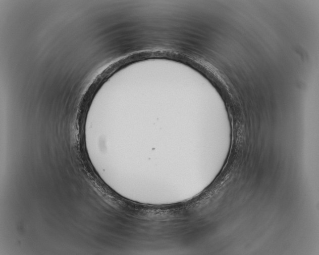 X0000113090927200909251007