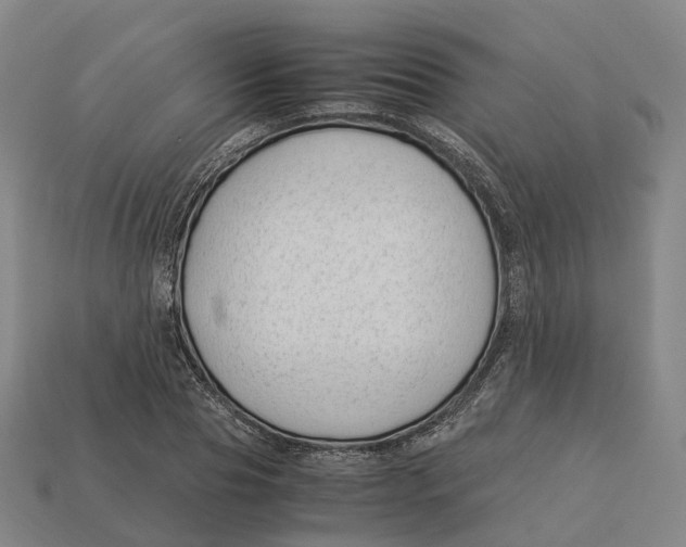 X0000113090929200909251007