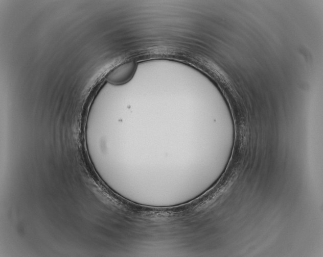 X0000113090930200909251007