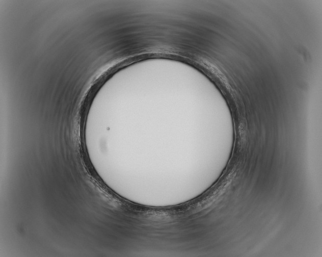 X0000113090931200909251007