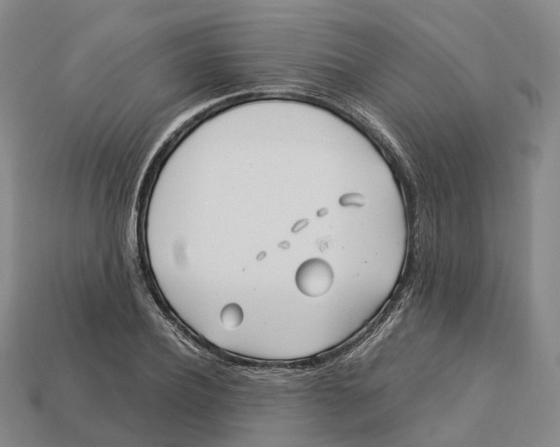 X0000113090932200909251007