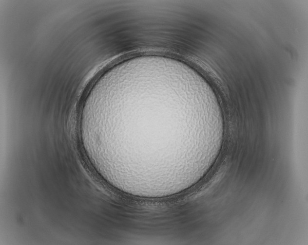 X0000113090933200909251007
