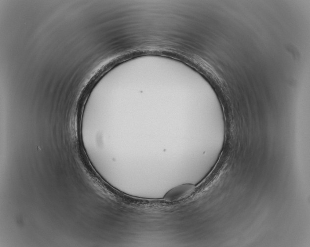 X0000113090934200909251007