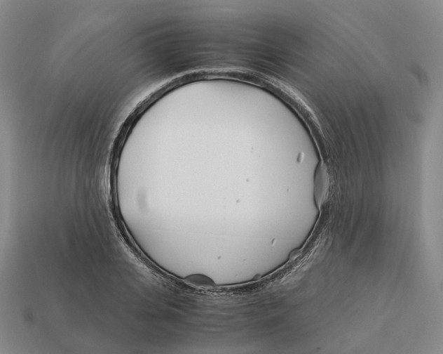 X0000113090935200909251007
