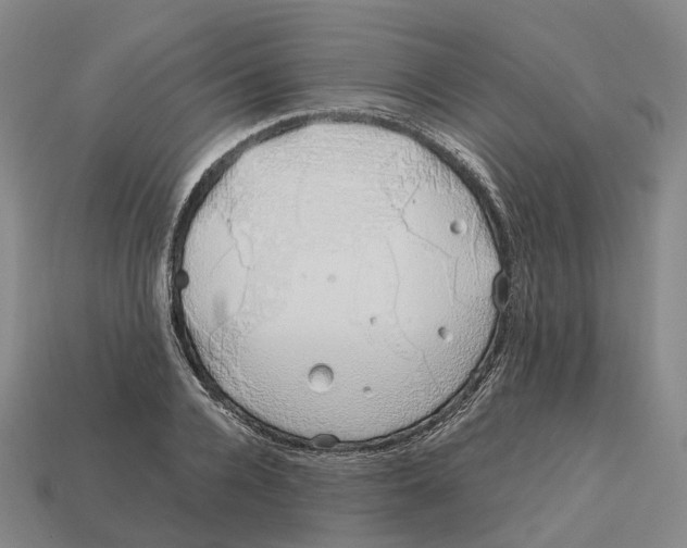 X0000113090936200909251007