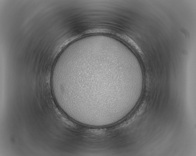 X0000113090937200909251007