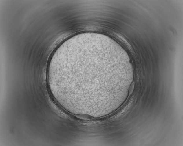 X0000113090938200909251007