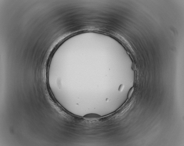 X0000113090939200909251007