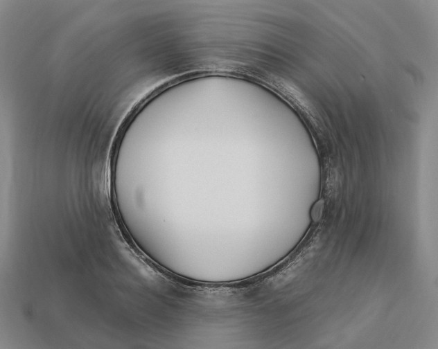 X0000113090940200909251007