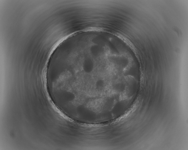 X0000113090941200909251007