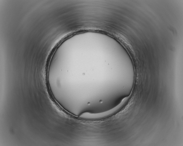 X0000113090942200909251007