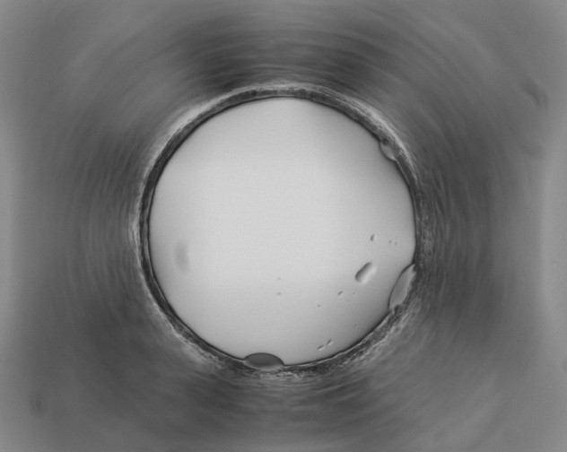 X0000113090943200909251007
