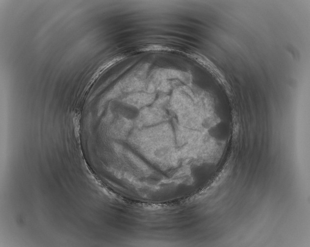X0000113090945200909251007