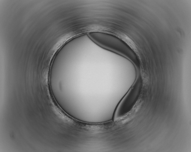 X0000113090946200909251007