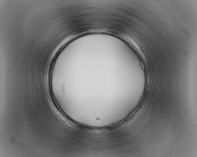 X0000113090947200909251007
