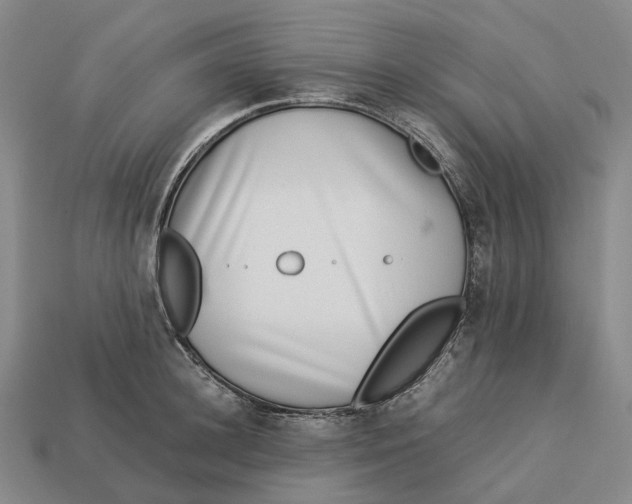 X0000113090948200909251007