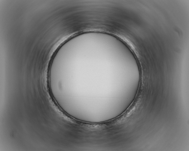 X0000113090949200909251007