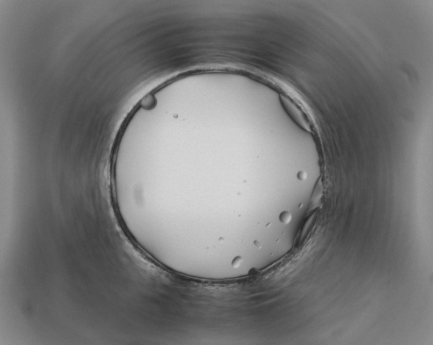 X0000113090951200909251007