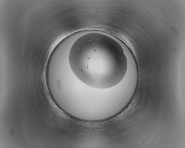 X0000113090952200909251007