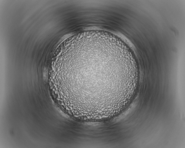 X0000113090953200909251007