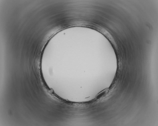 X0000113090954200909251007